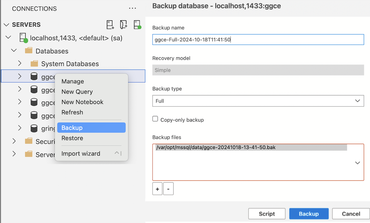 Using Azure Data Studio to create a backup