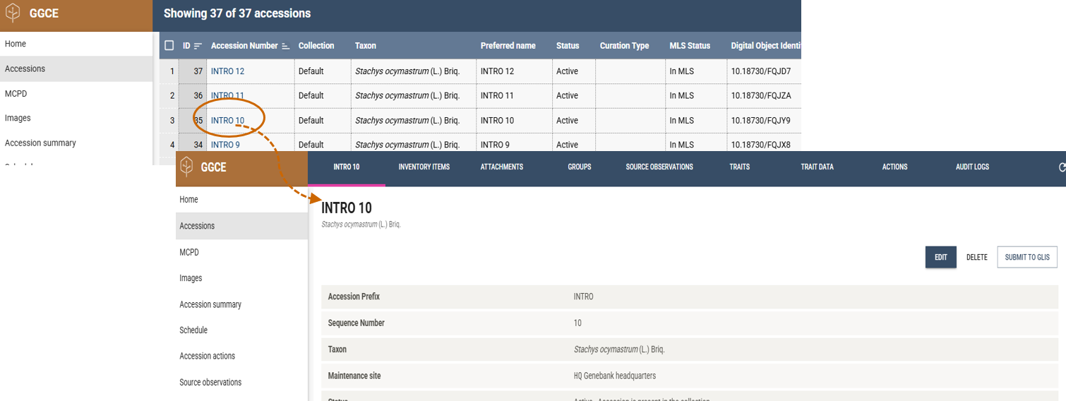 Opening record details